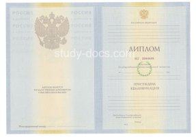 Диплом специалиста 2010-2011 в 