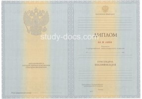 Диплом специалиста 2012-2013 в 