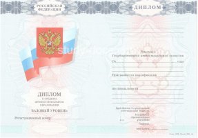 Диплом техникума 2007-2010 в 